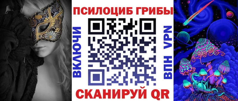 hydra ссылки  Олонец  Псилоцибиновые грибы Psilocybine cubensis 