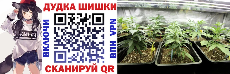 Канабис OG Kush  даркнет клад  Олонец  где найти  
